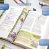 Adventure Bible for Early Readers, NIrV Hardcover - Image 3