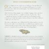 When Grief Goes Deep: Where Healing Begins - Image 2